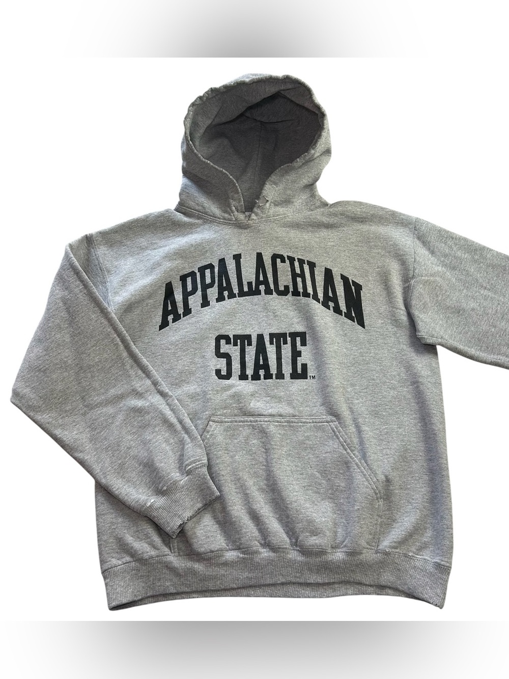 Vintage Appalachian State Mountaineers Mens Y2K Hoodie Arch Spellout Gray Size M